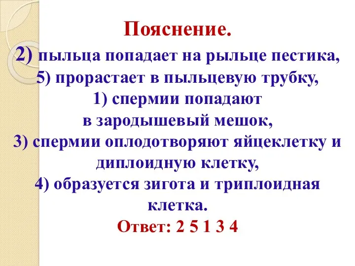 Пояснение. 2) пыльца попадает на рыльце пестика, 5) прорастает в