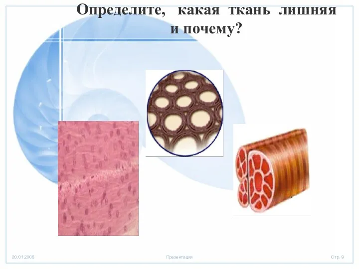 Определите, какая ткань лишняя и почему?