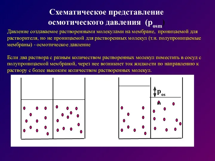 Давление создаваемое растворенными молекулами на мембране, проницаемой для растворителя, но