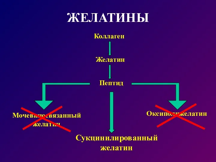 ЖЕЛАТИНЫ Коллаген Желатин Пептид Мочевиносвязанный желатин Оксиполижелатин Сукцинилированный желатин