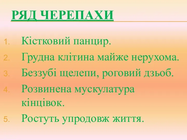 Кістковий панцир. Грудна клітина майже нерухома. Беззубі щелепи, роговий дзьоб.