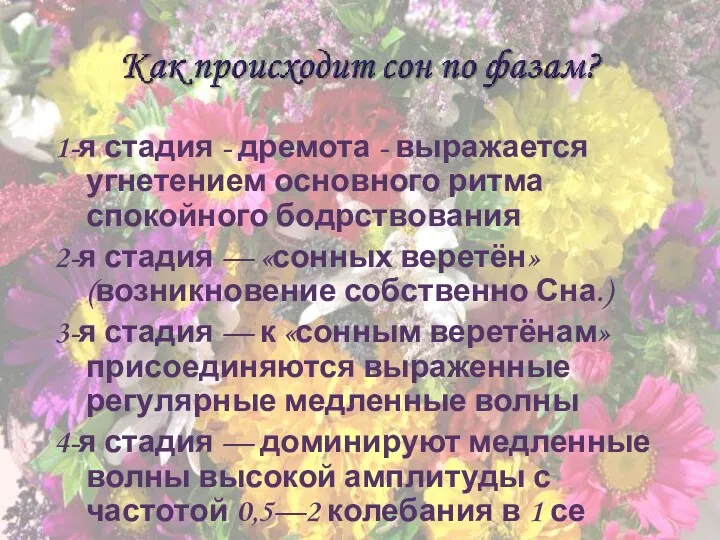 1-я стадия - дремота - выражается угнетением основного ритма спокойного