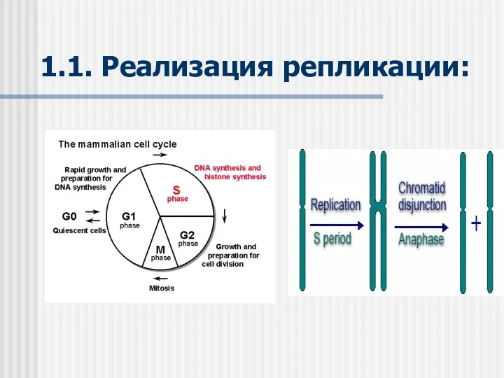 1.1. Реализация репликации: