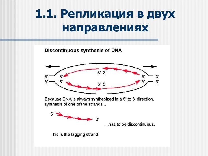 1.1. Репликация в двух направлениях