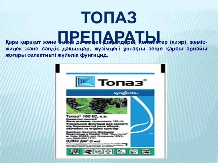 Қара қарақат және басқа да жидек дақылдары, көкөністер (қияр), жеміс-жидек