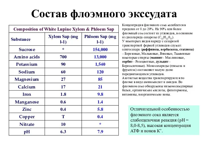 Состав флоэмного экссудата Концентрация флоэмного сока колеблется в пределах от