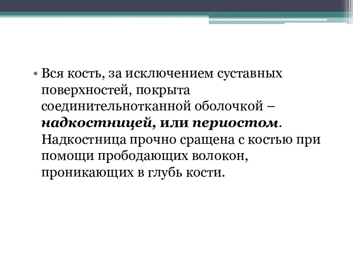 Вся кость, за исключением суставных поверхностей, покрыта соединительнотканной оболочкой –