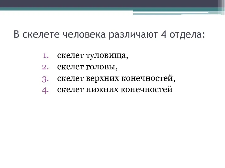 В скелете человека различают 4 отдела: скелет туловища, скелет головы, скелет верхних конечностей, скелет нижних конечностей