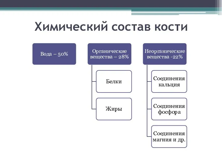 Химический состав кости