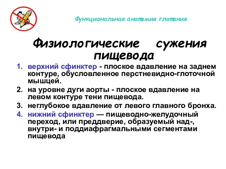 Физиологические сужения пищевода верхний сфинктер - плоское вдавление на заднем