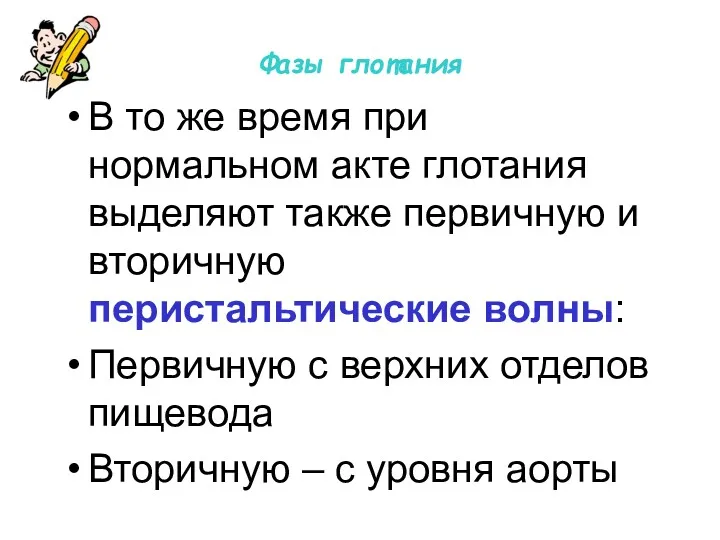 Фазы глотания В то же время при нормальном акте глотания