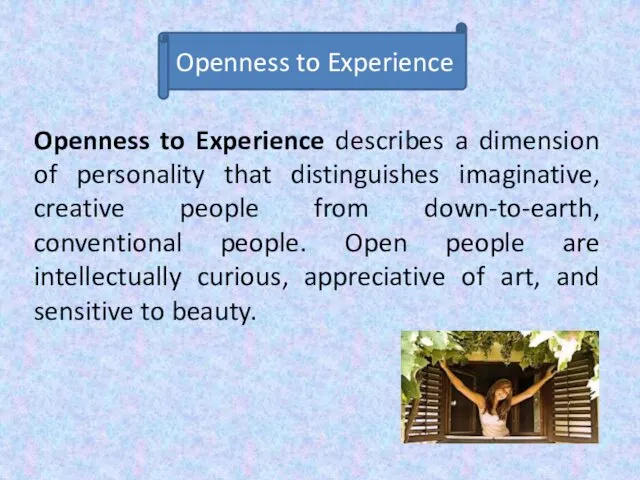 Openness to Experience describes a dimension of personality that distinguishes imaginative, creative people