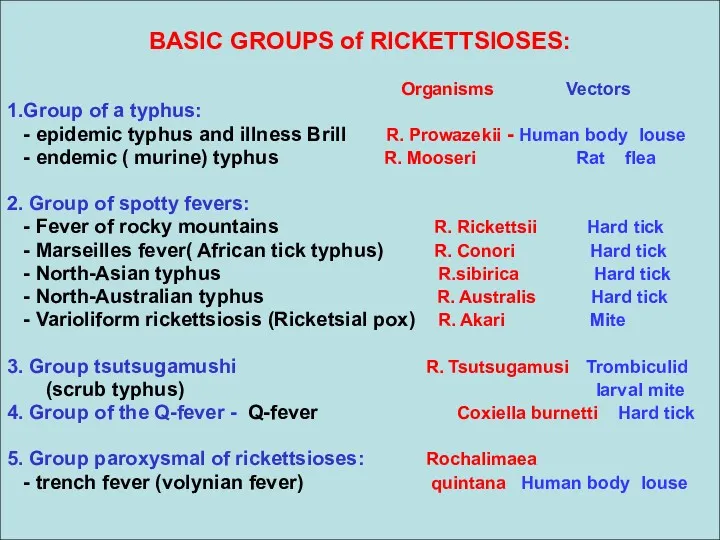 BASIC GROUPS of RICKETTSIOSES: Organisms Vectors 1.Group of a typhus: - epidemic typhus