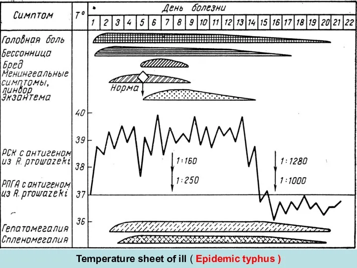 Temperature sheet of ill ( Epidemic typhus )