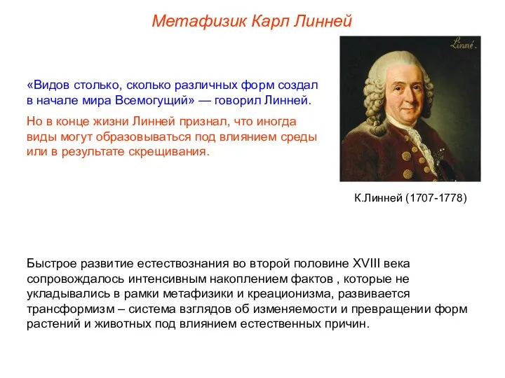 «Видов столько, сколько различных форм создал в начале мира Всемогущий»