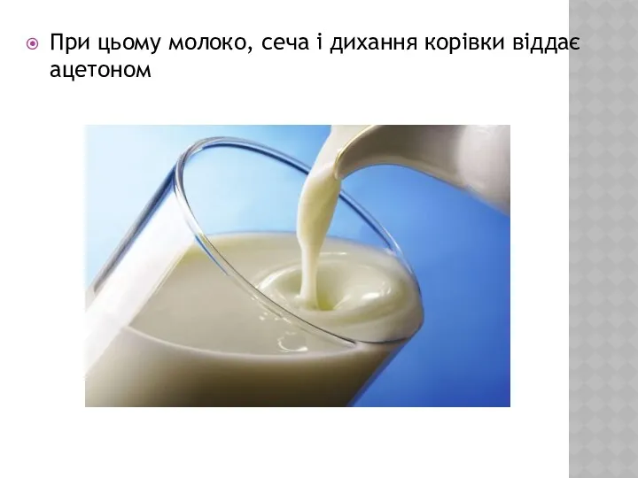 При цьому молоко, сеча і дихання корівки віддає ацетоном