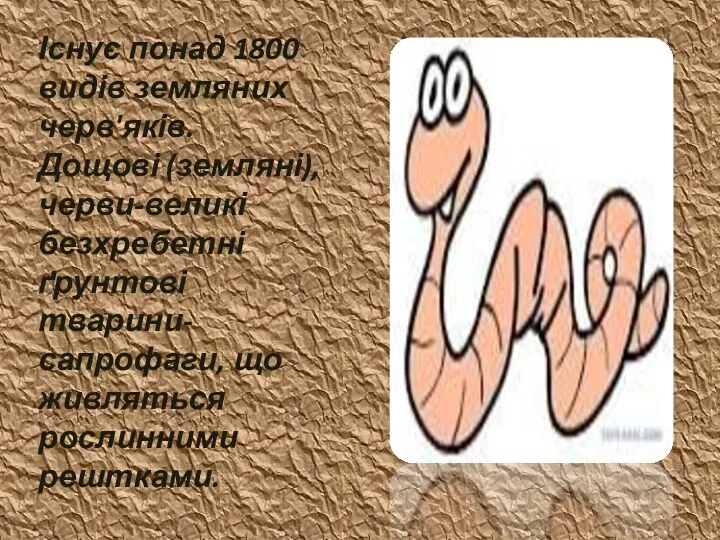 Існує понад 1800 видів земляних черв'яків. Дощові (земляні), черви-великі безхребетні ґрунтові тварини-сапрофаги, що живляться рослинними рештками.