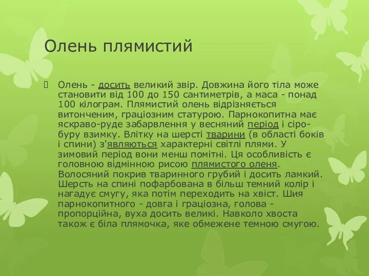 Олень плямистий Олень - досить великий звір. Довжина його тіла