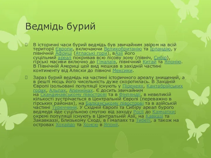 Ведмідь бурий В історичні часи бурий ведмідь був звичайним звіром