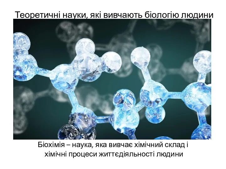Теоретичні науки, які вивчають біологію людини Біохімія – наука, яка вивчає хімічний склад