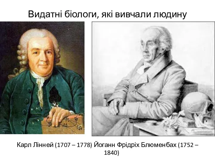 Видатні біологи, які вивчали людину Карл Лінней (1707 – 1778) Йоганн Фрідріх Блюменбах (1752 – 1840)