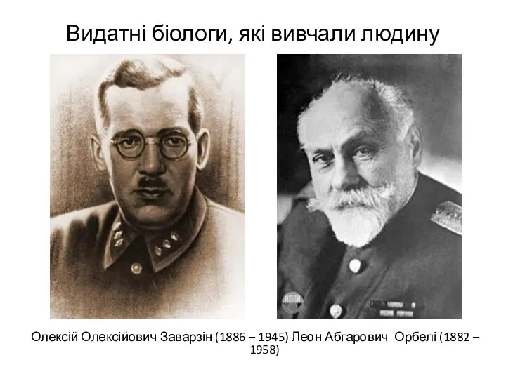 Видатні біологи, які вивчали людину Олексій Олексійович Заварзін (1886 – 1945) Леон Абгарович