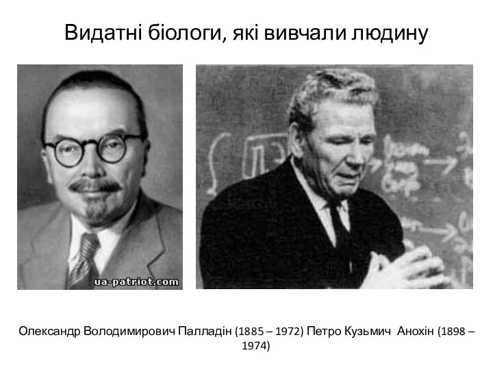 Видатні біологи, які вивчали людину Олександр Володимирович Палладін (1885 – 1972) Петро Кузьмич