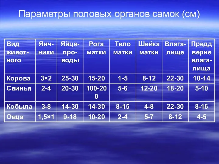 Параметры половых органов самок (см)