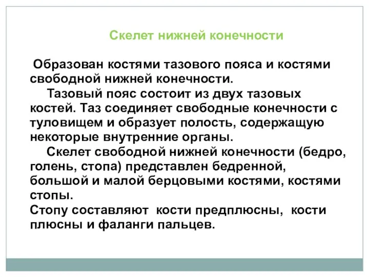 Скелет нижней конечности Образован костями тазового пояса и костями свободной нижней конечности. Тазовый