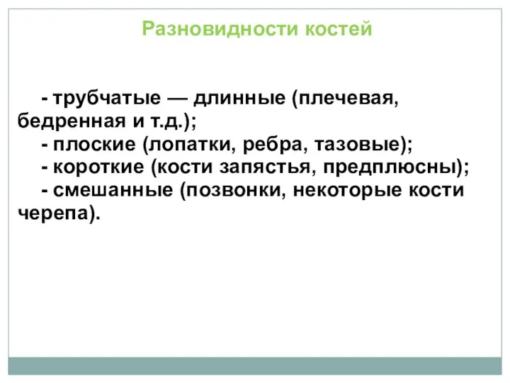 Разновидности костей - трубчатые — длинные (плечевая, бедренная и т.д.); - плоские (лопатки,