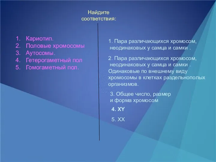 Найдите соответствия: Кариотип. Половые хромосомы Аутосомы. Гетерогаметный пол Гомогаметный пол.