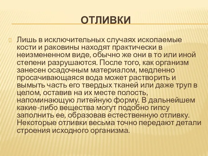 ОТЛИВКИ Лишь в исключительных случаях ископаемые кости и раковины находят