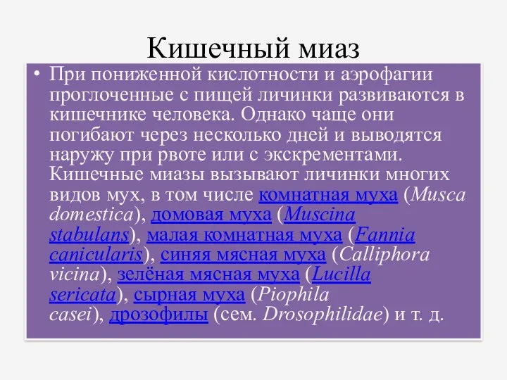 Кишечный миаз При пониженной кислотности и аэрофагии проглоченные с пищей