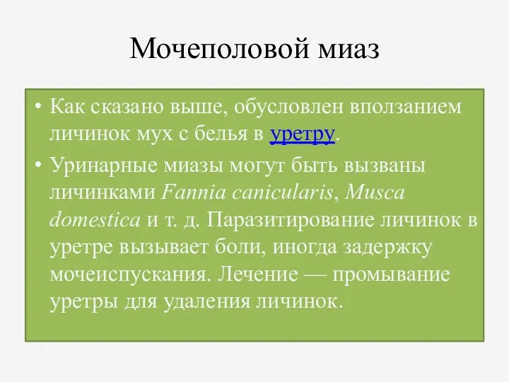 Мочеполовой миаз Как сказано выше, обусловлен вползанием личинок мух с