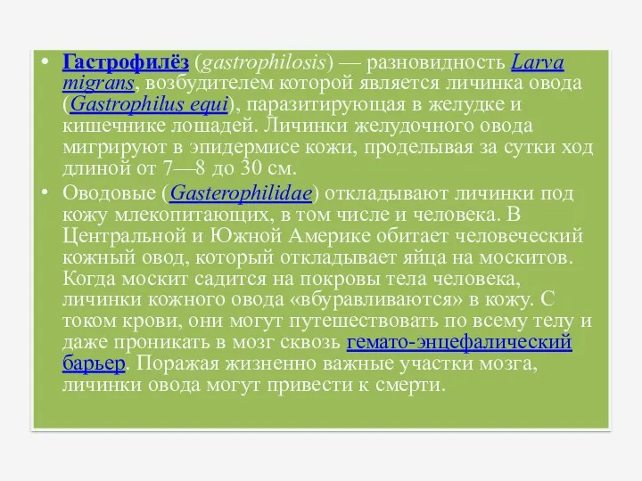 Гастрофилёз (gastrophilosis) — разновидность Larva migrans, возбудителем которой является личинка