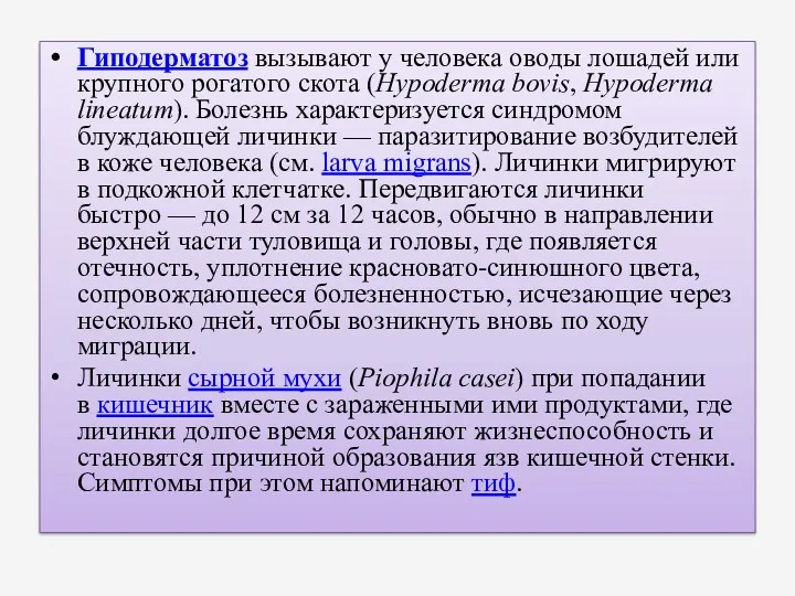 Гиподерматоз вызывают у человека оводы лошадей или крупного рогатого скота