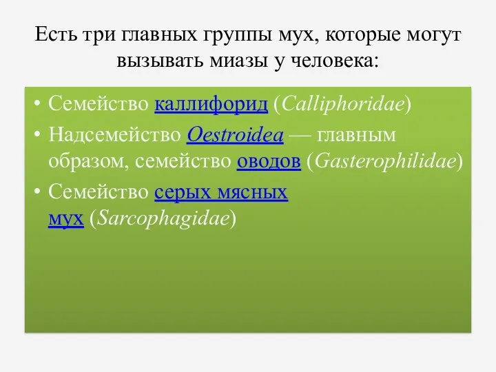 Есть три главных группы мух, которые могут вызывать миазы у