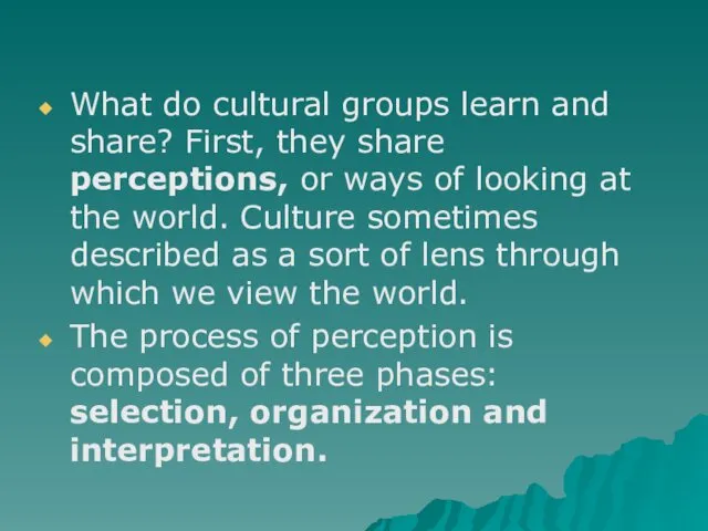 What do cultural groups learn and share? First, they share perceptions, or ways
