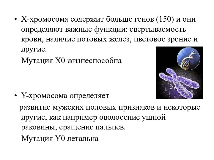 Х-хромосома содержит больше генов (150) и они определяют важные функции: