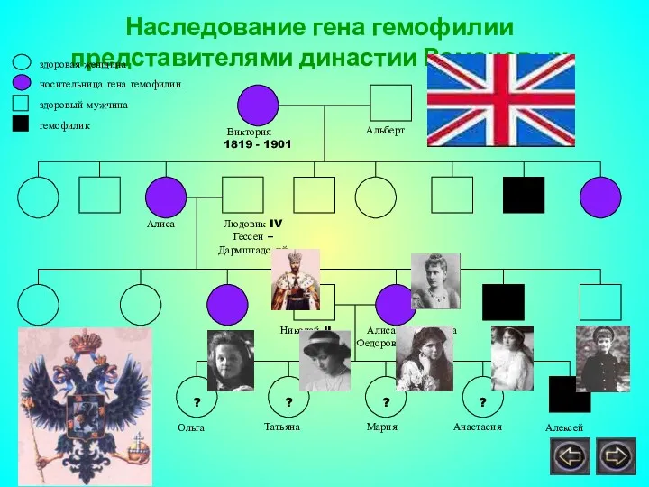 Наследование гена гемофилии представителями династии Романовых Виктория 1819 - 1901