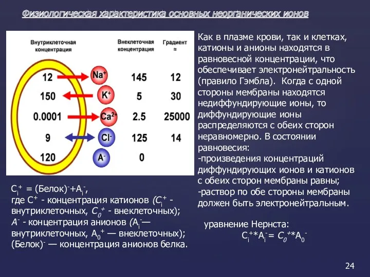 Физиологическая характеристика основных неорганических ионов Как в плазме крови, так