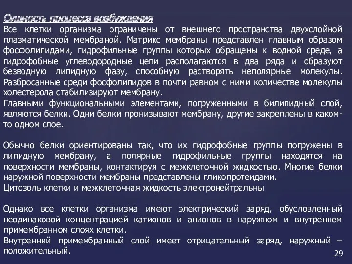 Сущность процесса возбуждения Все клетки организма ограничены от внешнего пространства