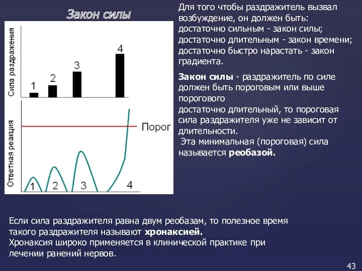 Закон силы Для того чтобы раздражитель вызвал возбуждение, он должен