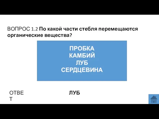 ВОПРОС 1.2 По какой части стебля перемещаются органические вещества? ПРОБКА КАМБИЙ ЛУБ СЕРДЦЕВИНА ОТВЕТ ЛУБ