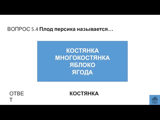 ВОПРОС 5.4 Плод персика называется… ОТВЕТ КОСТЯНКА КОСТЯНКА МНОГОКОСТЯНКА ЯБЛОКО ЯГОДА