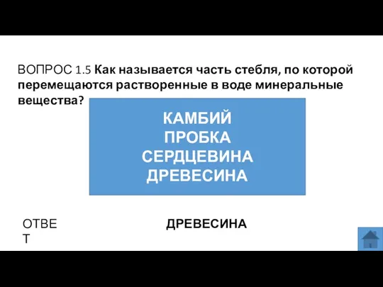 ВОПРОС 1.5 Как называется часть стебля, по которой перемещаются растворенные