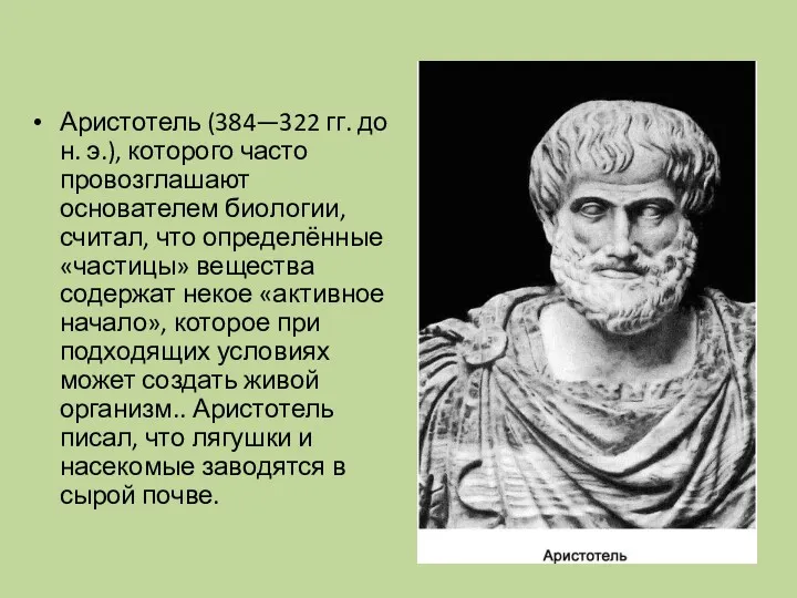 Аристотель (384—322 гг. до н. э.), которого часто провозглашают основателем биологии, считал, что