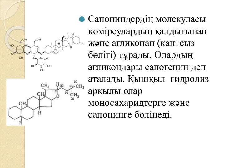 Сапониндердің молекуласы көмірсулардың қалдығынан және агликонан (қантсыз бөлігі) тұрады. Олардың