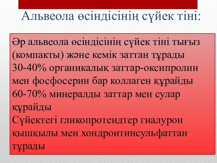 Альвеола өсіндісінің сүйек тіні: Әр альвеола өсіндісінің сүйек тіні тығыз