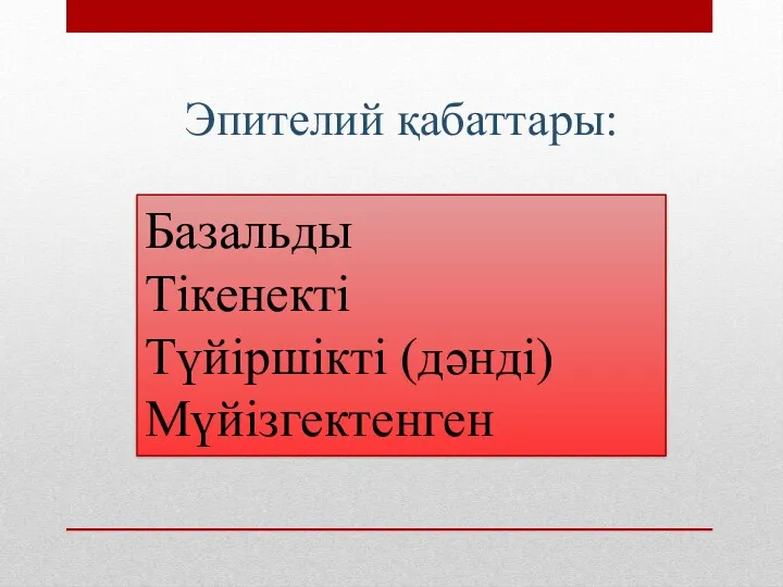 Эпителий қабаттары: Базальды Тікенекті Түйіршікті (дәнді) Мүйізгектенген